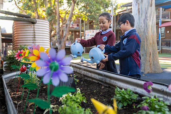 Facilites – Garden
